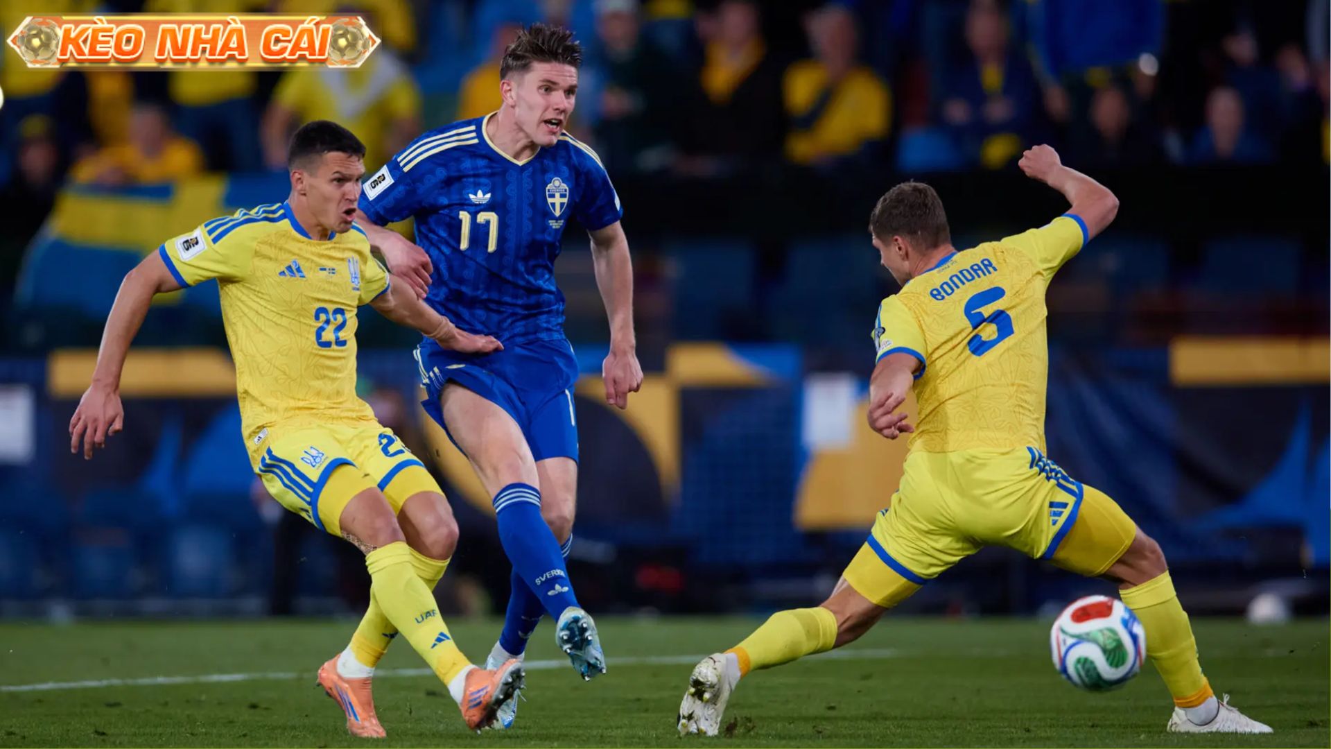 Giành được tấm vé cuối đến WC